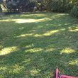 Photo #1: SAM'S LAWN SERVICES. Leaf removal and more!
