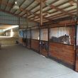 Photo #4: Beautiful equestrian facility. Horse Boarding