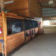 Photo #5: Beautiful equestrian facility. Horse Boarding