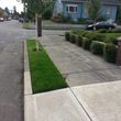 Photo #1: Steve Roods Lawn care. Quality Lawn & Yard care since 1989