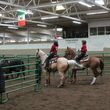 Photo #3: Riding/roping/daubing lessons