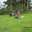 Photo #6: Natures Way Dog Training LLC Specialize in Behavioral/ Training Camp