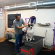 Photo #12: Self Service Dog Wash, Professional Grooming, walk in nail trims, etc.