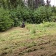 Photo #5: Field mowing, brush & blackberry removal