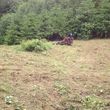 Photo #4: Field mowing, brush & blackberry removal