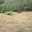Photo #4: Field mowing, brush & blackberry removal