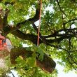 Photo #1: Reliable Tree Service. Call 24x7 EMERGENCY STORM DAMAGE