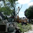 Photo #7: IRONWOOD TREE SERVICE