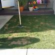 Photo #3: Preston Landscaping. Artificial Turf [Synthetic Grass]