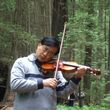 Photo #9: Violin Private Lesson by Suzuki Music School