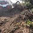 Photo #17: Bobcat service for free estimates. Call anytime!