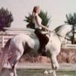 Photo #1: Private Horse Lessons by Susie + Dressage