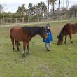 Photo #6: Pony Tales & Trails. Pony rides!!!