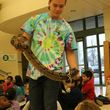 Photo #16: Reptile Ron Animal Presentations