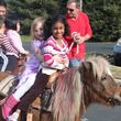 Photo #3: Pony Rides for your event!
