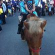 Photo #2: Pony Rides for your event!