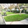 Photo #5: GREEN GROW Lawn, Yard and Tree Services