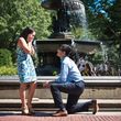 Photo #5: Professional Photographer for Proposal, Engagement, Wedding