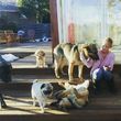Photo #2: Playful Paws Petsitting. Dog Walkers & Pet sitters