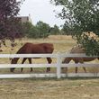 Photo #6: Full Care Horse Boarding-Private Stable