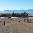 Photo #7: Full Care Horse Boarding-Private Stable