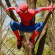 Photo #3: Spider-Man Entertainer
