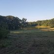 Photo #1: Clay's Pasture clearing