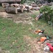 Photo #3: Affordable Robertson tree care / trailer and chain saw