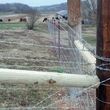 Photo #3: Tight Wire Fence building and repair