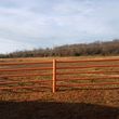 Photo #2: Horse Boarding (Prattville)