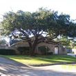 Photo #1: Najera Tree Service. Super cheap prices!