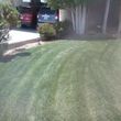Photo #11: YARD CLEANING AND MAINTENANCE $20 HOUR