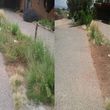 Photo #10: YARD CLEANING AND MAINTENANCE $20 HOUR
