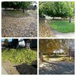 Photo #5: Yard clean up - $35 and up