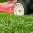 Photo #1: Cutter's Edge Lawn Care