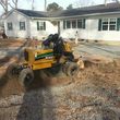 Photo #5: Alpha Tree Service. Stump Grinding