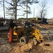 Photo #4: Alpha Tree Service. Stump Grinding