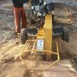 Photo #3: Alpha Tree Service. Stump Grinding