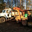 Photo #9: Tractor and Bobcat work