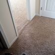 Photo #8: Mike's Carpet Repair. Carpet Stretching/Creaking Floor Repair