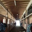 Photo #3: Horse Boarding-Stall & Pasture
