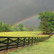 Photo #5: Horse Boarding-Stall & Pasture