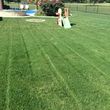 Photo #4: Mora's Lawn services