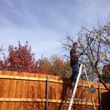 Photo #1: DFW Affordable Tree Service by Jackie
