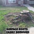 Photo #16: 811 Stump Grinding / Tree Service / Mistletoe removal