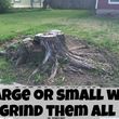 Photo #15: 811 Stump Grinding / Tree Service / Mistletoe removal