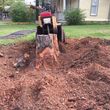 Photo #13: 811 Stump Grinding / Tree Service / Mistletoe removal