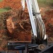Photo #6: Farm & Ranch Tree & Brush removal. Haul off!