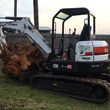 Photo #7: Farm & Ranch Tree & Brush removal. Haul off!