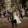 Photo #1: Todd Allman. Special 40% off Wedding photography